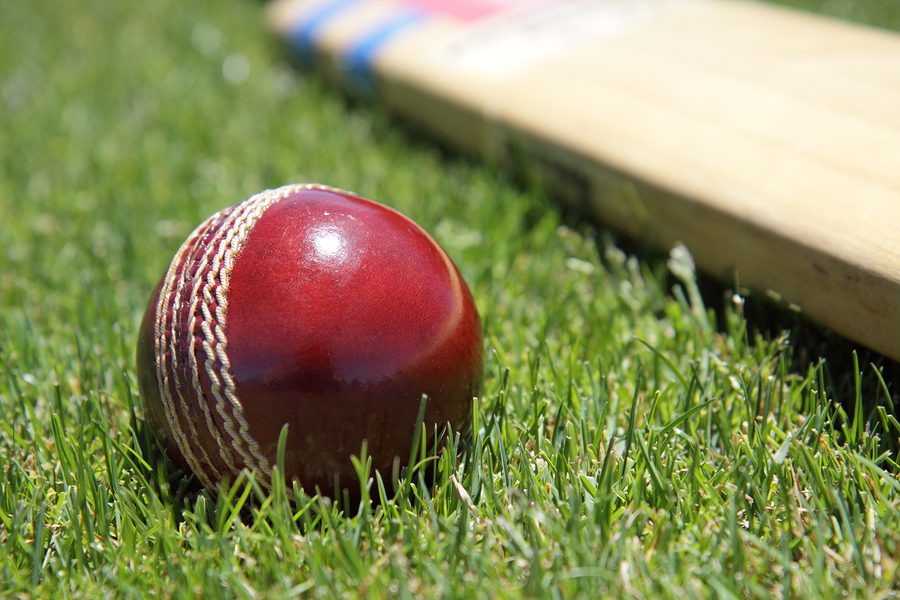 cricket ball business plan cricket ball business plan